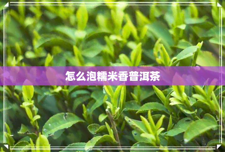 怎么泡糯米香普洱茶