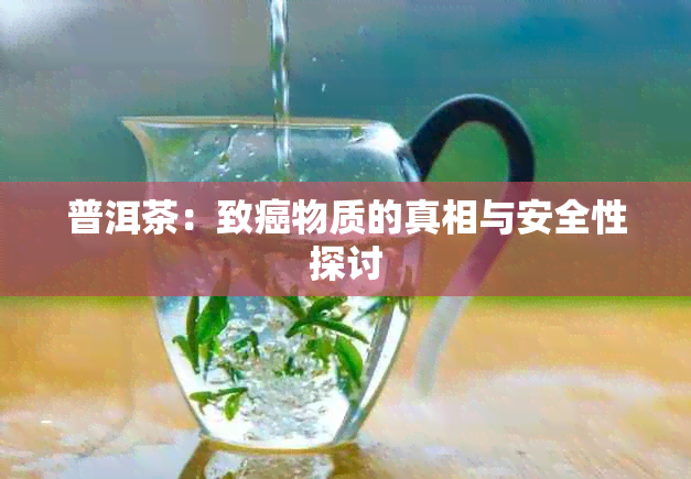 普洱茶：致癌物质的真相与安全性探讨