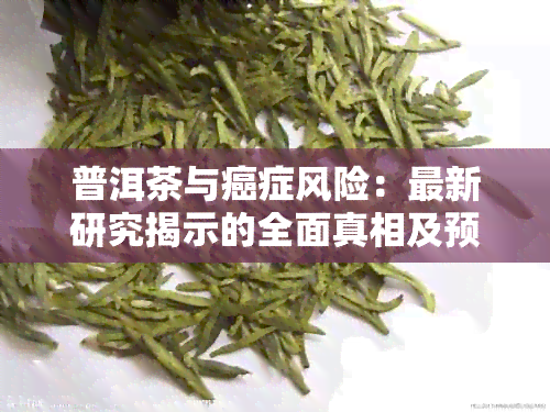 普洱茶与癌症风险：最新研究揭示的全面真相及预防措