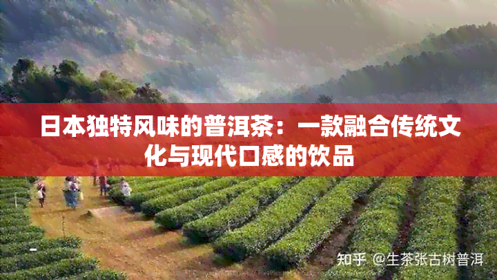 独特风味的普洱茶：一款融合传统文化与现代口感的饮品