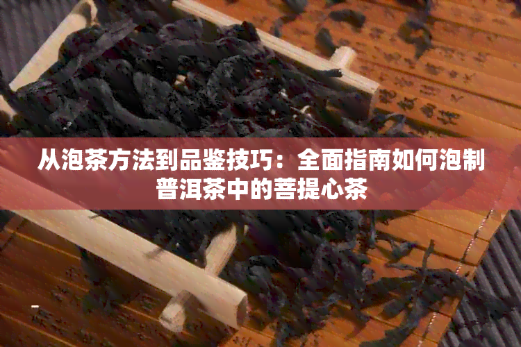 从泡茶方法到品鉴技巧：全面指南如何泡制普洱茶中的菩提心茶