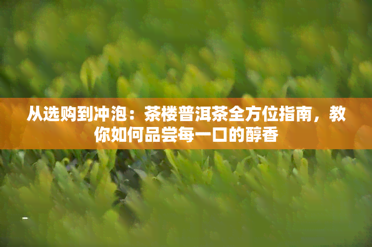 从选购到冲泡：茶楼普洱茶全方位指南，教你如何品尝每一口的醇香