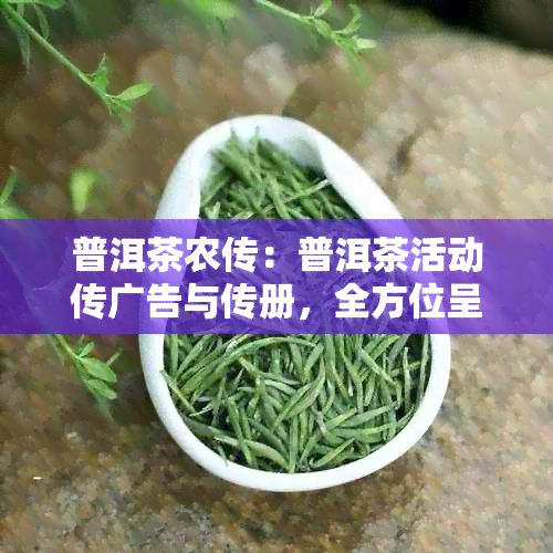 普洱茶农传：普洱茶活动传广告与传册，全方位呈现普洱茶魅力！