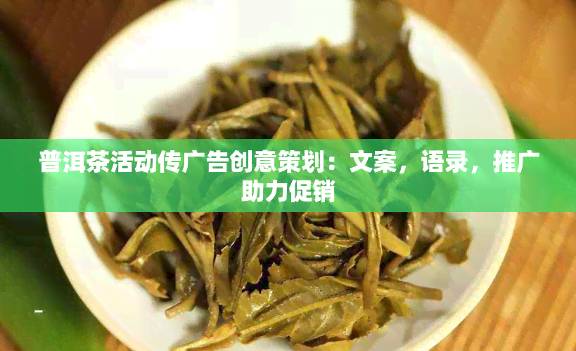 普洱茶活动传广告创意策划：文案，语录，推广助力促销