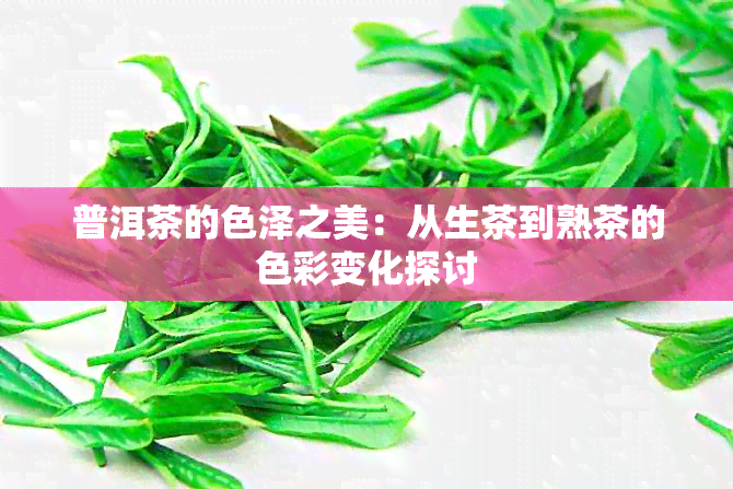 普洱茶的色泽之美：从生茶到熟茶的色彩变化探讨