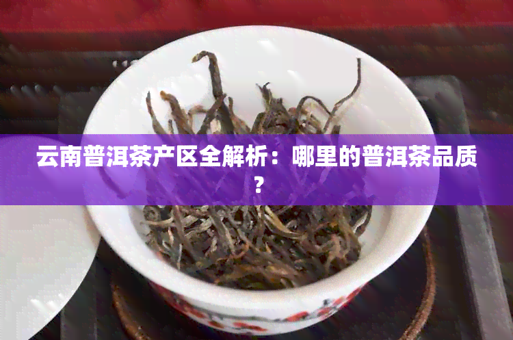 云南普洱茶产区全解析：哪里的普洱茶品质？