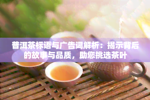 普洱茶标语与广告词解析：揭示背后的故事与品质，助您挑选茶叶