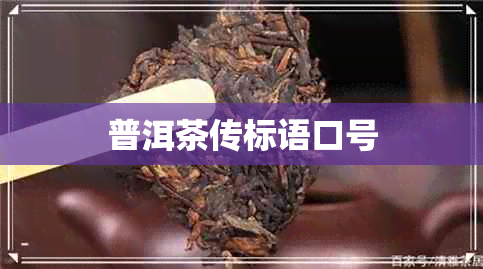 普洱茶传标语口号