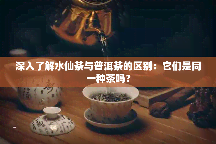 深入了解水仙茶与普洱茶的区别：它们是同一种茶吗？