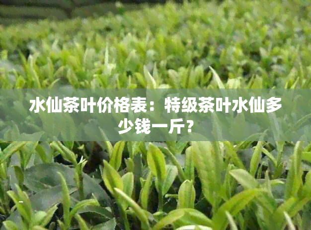 水仙茶叶价格表：特级茶叶水仙多少钱一斤？