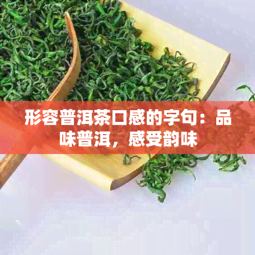 形容普洱茶口感的字句：品味普洱，感受韵味