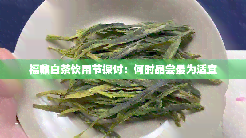 福鼎白茶饮用节探讨：何时品尝最为适宜