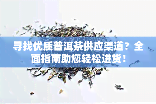 寻找优质普洱茶供应渠道？全面指南助您轻松进货！