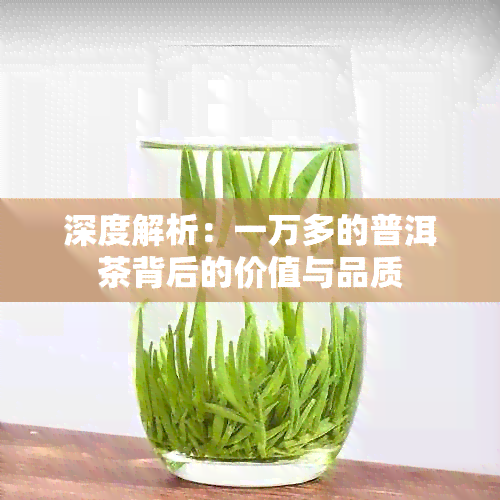 深度解析：一万多的普洱茶背后的价值与品质