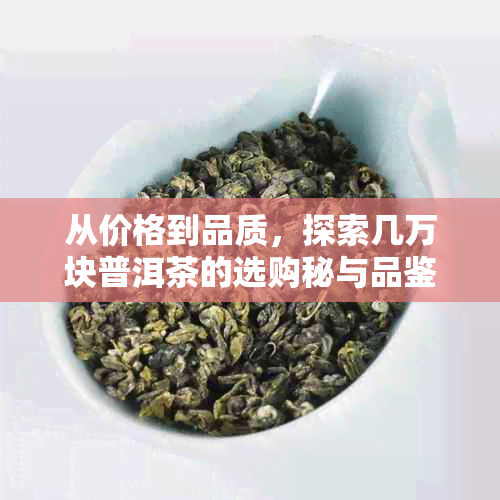 从价格到品质，探索几万块普洱茶的选购秘与品鉴技巧