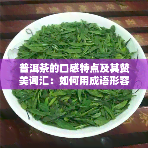 普洱茶的口感特点及其赞美词汇：如何用成语形容普洱茶的好喝程度？