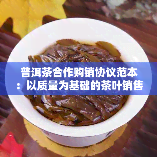 普洱茶合作购销协议范本：以质量为基础的茶叶销售合同