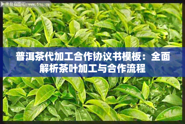 普洱茶代加工合作协议书模板：全面解析茶叶加工与合作流程