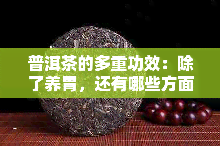 普洱茶的多重功效：除了养胃，还有哪些方面有益于身体健？