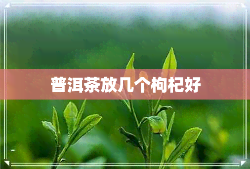 普洱茶放几个枸杞好