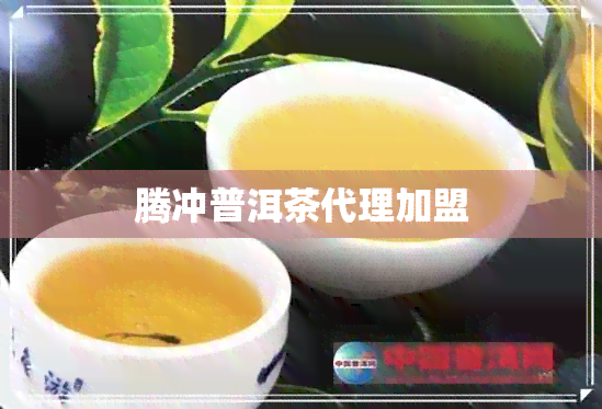 腾冲普洱茶代理加盟