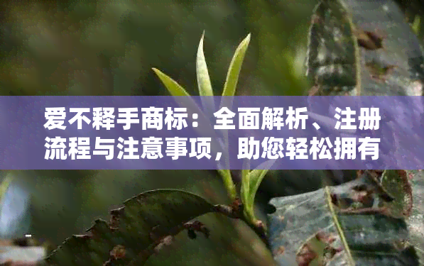 爱不释手商标：全面解析、注册流程与注意事项，助您轻松拥有独一无二的标志