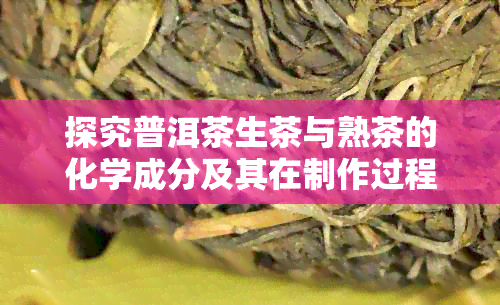 探究普洱茶生茶与熟茶的化学成分及其在制作过程中的转化原理