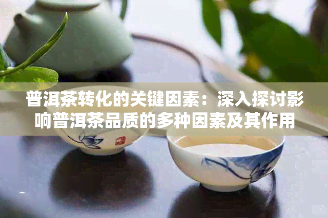 普洱茶转化的关键因素：深入探讨影响普洱茶品质的多种因素及其作用