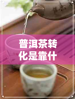 普洱茶转化是靠什么