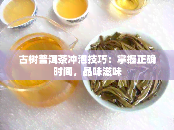 古树普洱茶冲泡技巧：掌握正确时间，品味滋味