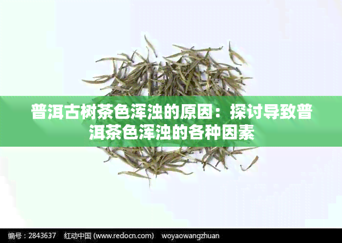 普洱古树茶色浑浊的原因：探讨导致普洱茶色浑浊的各种因素