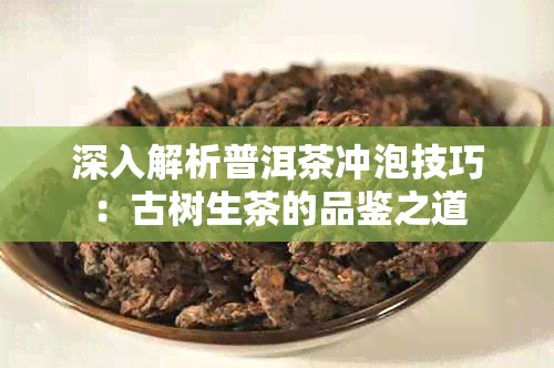 深入解析普洱茶冲泡技巧：古树生茶的品鉴之道