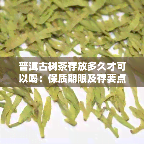 普洱古树茶存放多久才可以喝：保质期限及存要点