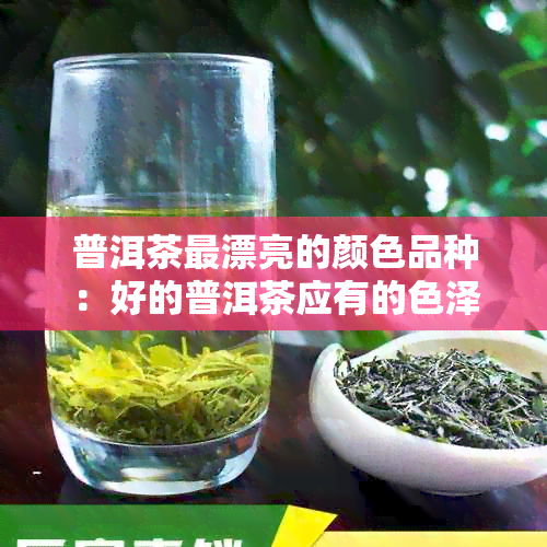 普洱茶最漂亮的颜色品种：好的普洱茶应有的色泽