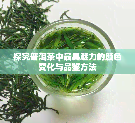 探究普洱茶中更具魅力的颜色变化与品鉴方法