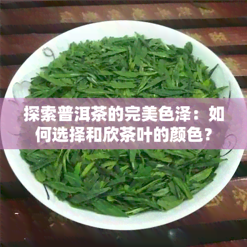 探索普洱茶的完美色泽：如何选择和欣茶叶的颜色？