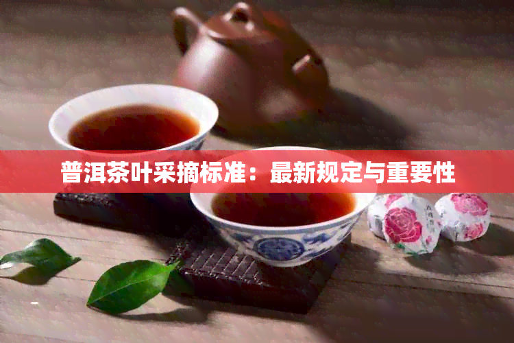 普洱茶叶采摘标准：最新规定与重要性