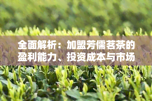 全面解析：加盟芳儒茗茶的盈利能力、投资成本与市场前景，助您轻松赚钱！