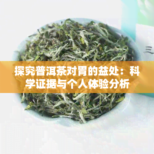 探究普洱茶对胃的益处：科学证据与个人体验分析