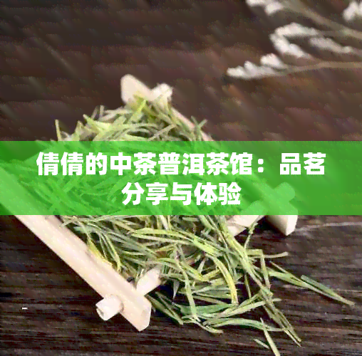 倩倩的中茶普洱茶馆：品茗分享与体验