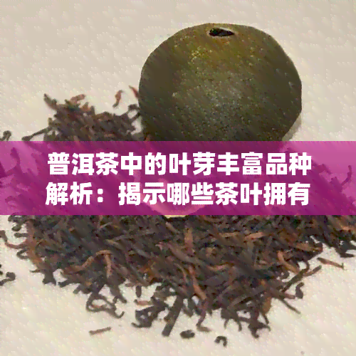 普洱茶中的叶芽丰富品种解析：揭示哪些茶叶拥有更多嫩芽