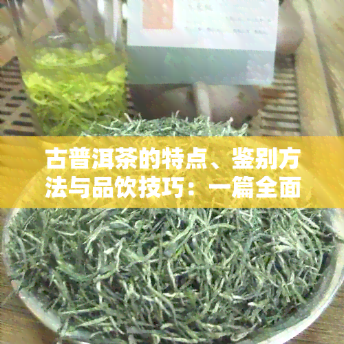 古普洱茶的特点、鉴别方法与品饮技巧：一篇全面指南