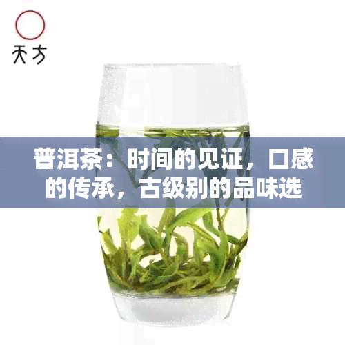 普洱茶：时间的见证，口感的传承，古级别的品味选择