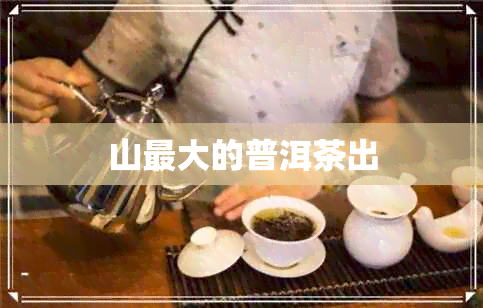 山更大的普洱茶出