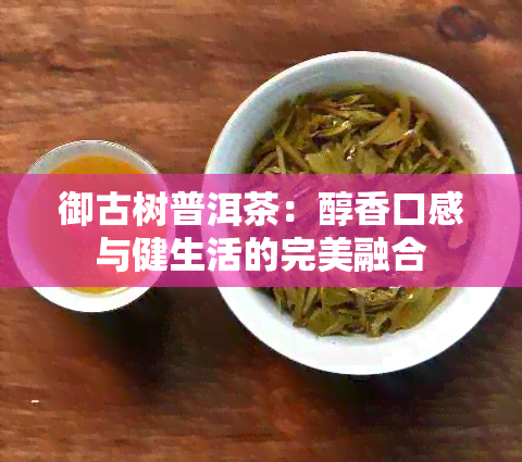 御古树普洱茶：醇香口感与健生活的完美融合