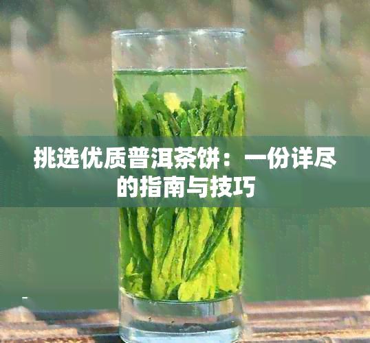 挑选优质普洱茶饼：一份详尽的指南与技巧