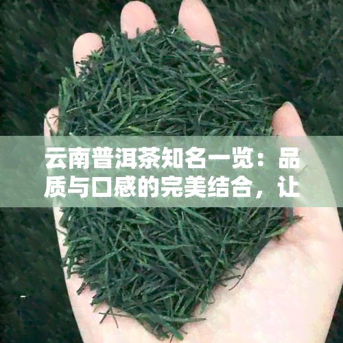 云南普洱茶知名一览：品质与口感的完美结合，让你轻松选对好茶