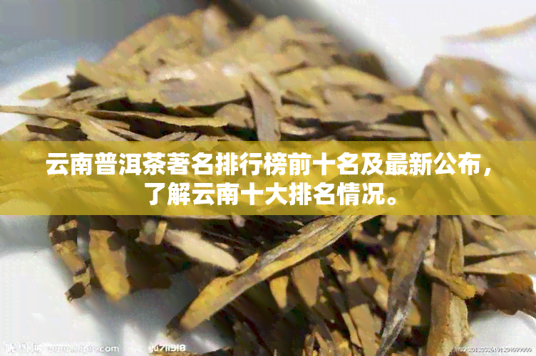 云南普洱茶著名排行榜前十名及最新公布，了解云南十大排名情况。