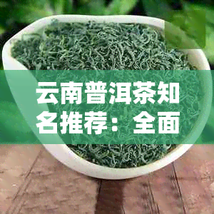 云南普洱茶知名推荐：全面了解与选购指南