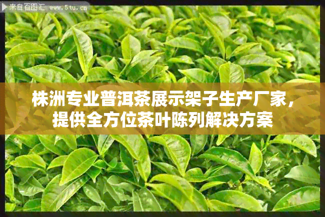 株洲专业普洱茶展示架子生产厂家，提供全方位茶叶陈列解决方案